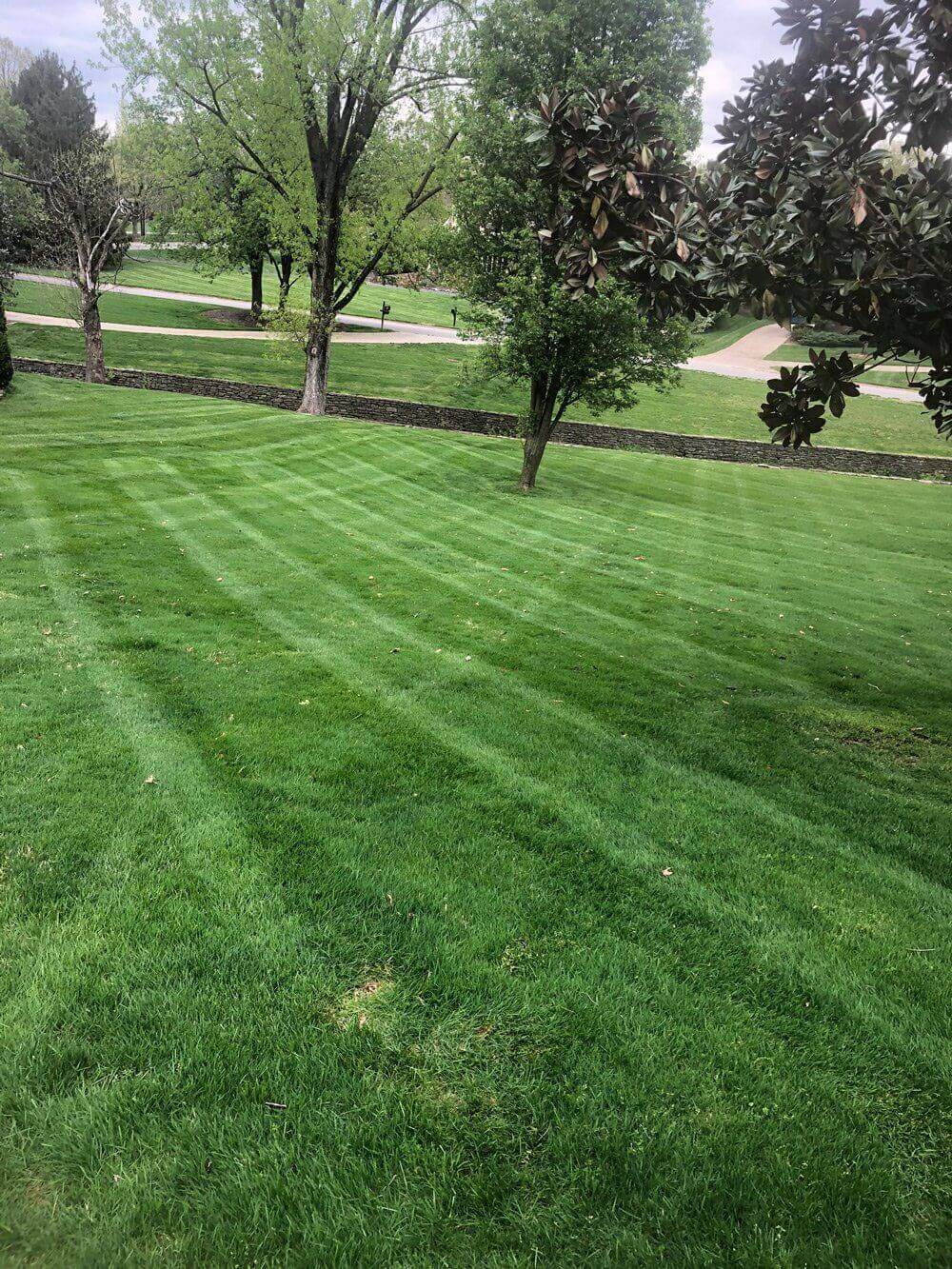 MowBetter-Lawnscapes-Louisville-Gallery-11