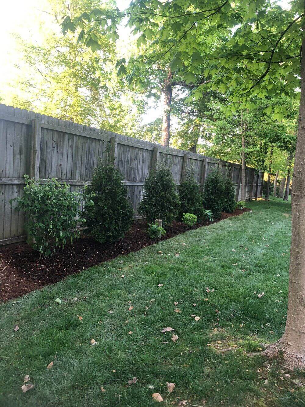 MowBetter-Lawnscapes-Louisville-Gallery-45