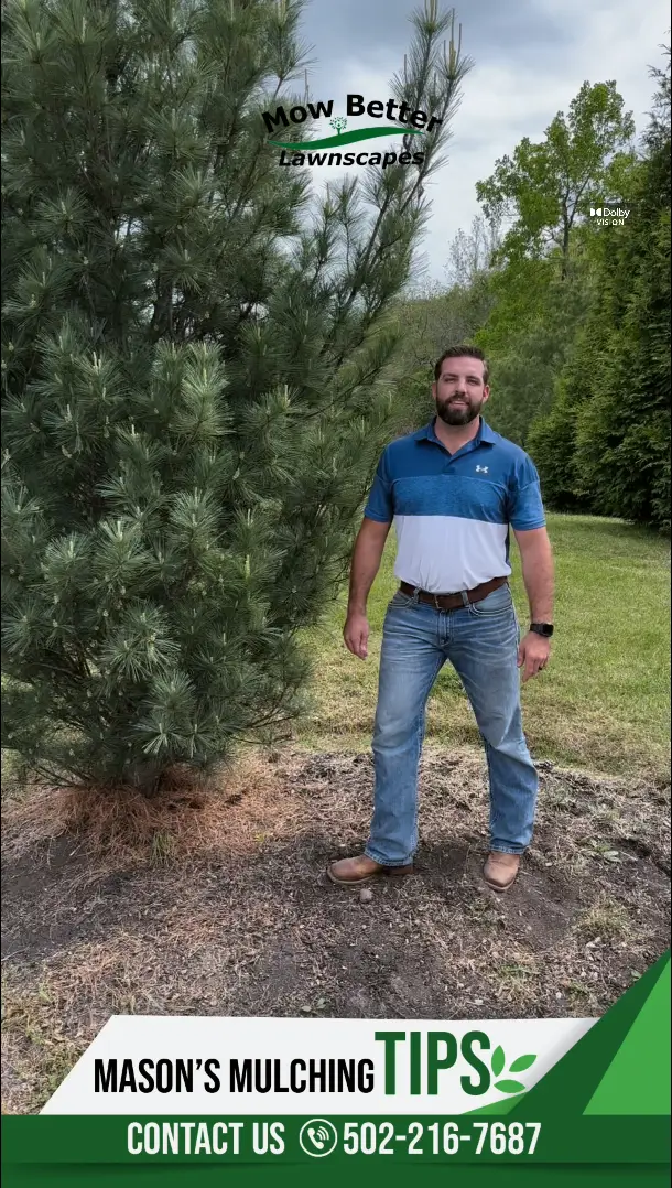 Mason Carpenter standing next to a pine tree in a front yard
